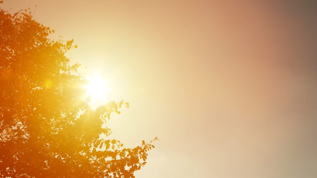 Heiße Sommertage machen Wasserversorgern zu schaffen. So können Sie Wasser sparen